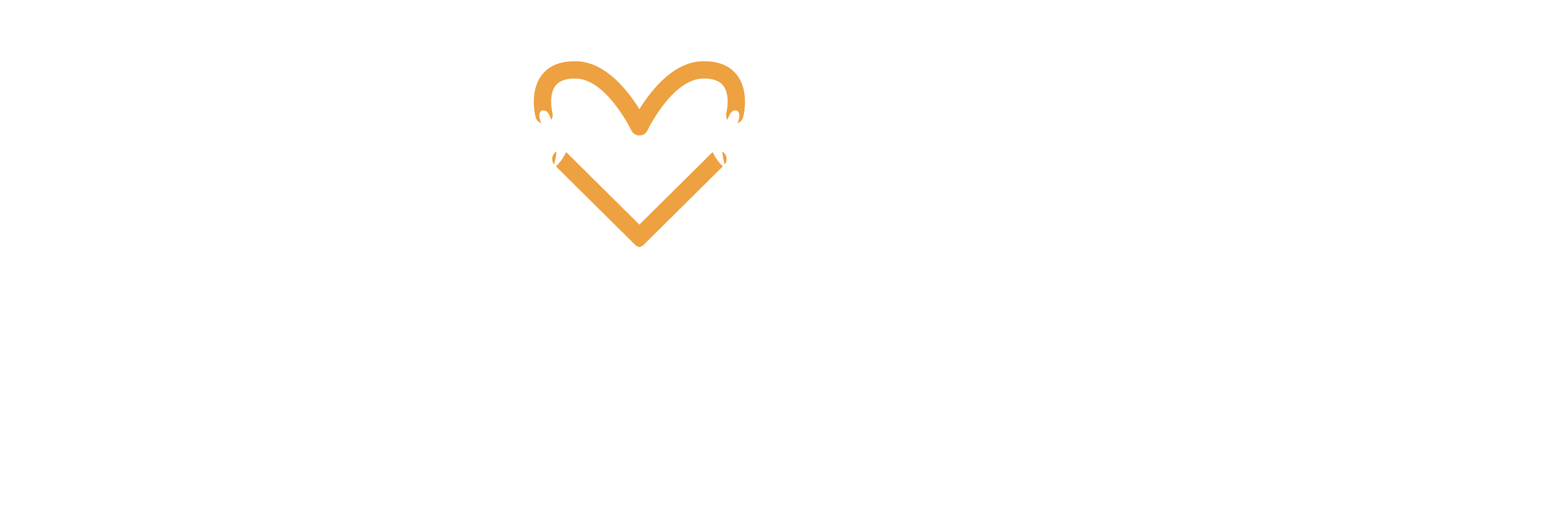 New Life Foundation